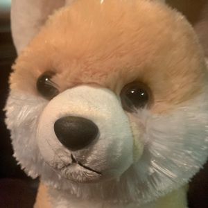 Meet your Posher, Alise